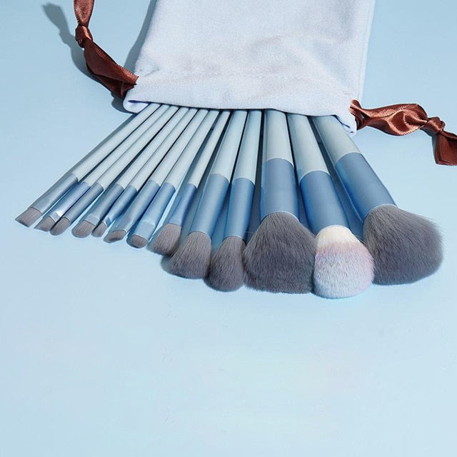 Palette Perfection : 13 Pcs Makeup Brush Set