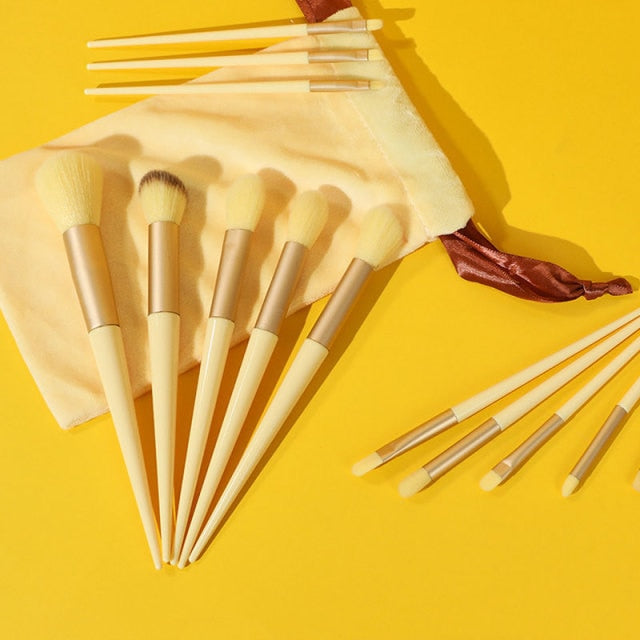Palette Perfection : 13 Pcs Makeup Brush Set